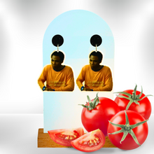 Load image into Gallery viewer, Earrings on a white background with tomatoes in front featuring Troy Barnes from &quot;Community&quot; saying &quot;I&#39;m giving you an &#39;all tomato&#39;.&quot;
