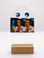 Blink 182 Enema of the State Album Earrings